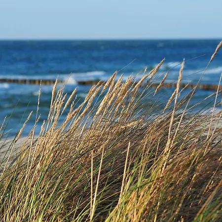 Lägenhet Ferienapartment Duenensand Direkt Am Kurstrand